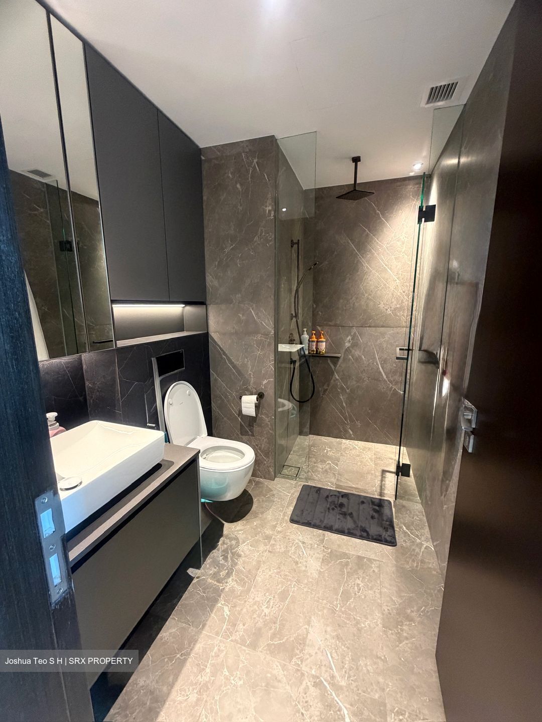 Irwell Hill Residences (D9), Apartment #619046291